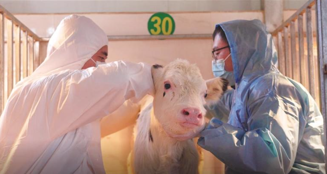 銀川:科技創新成為高品質發展第一引擎_fororder_截屏2023-05-29 09.41.48