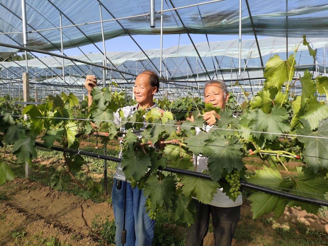 图片默认标题_fororder_1