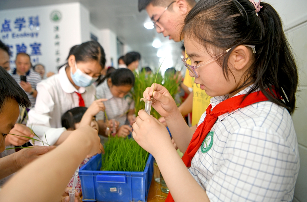 安徽淮南：小學生走進大學實驗室_fororder_2_副本