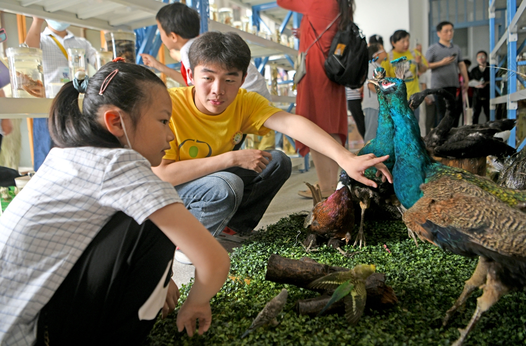 安徽淮南：小学生走进大学实验室_fororder_5_副本