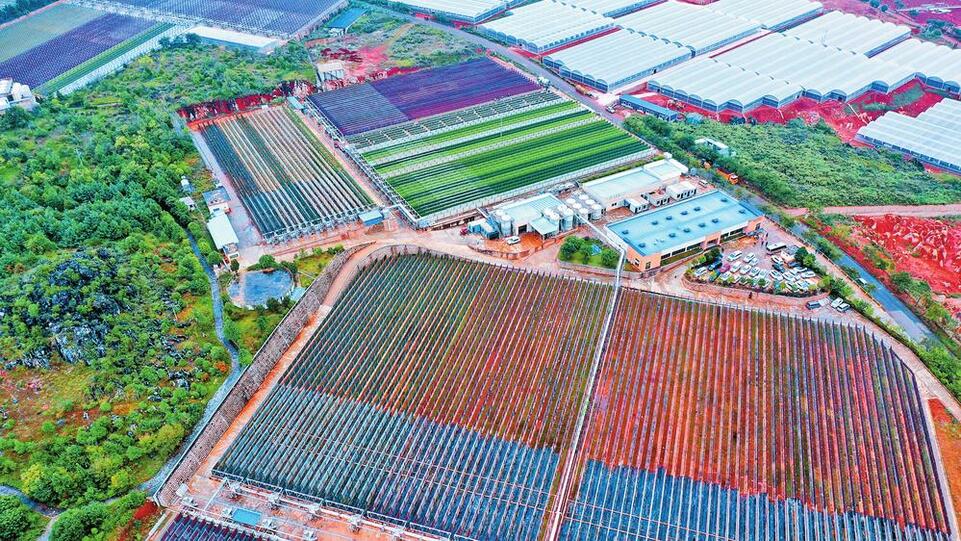 昆明市石林台创园智慧农业基地暨云南云彩金可雨生红球藻产业化三期