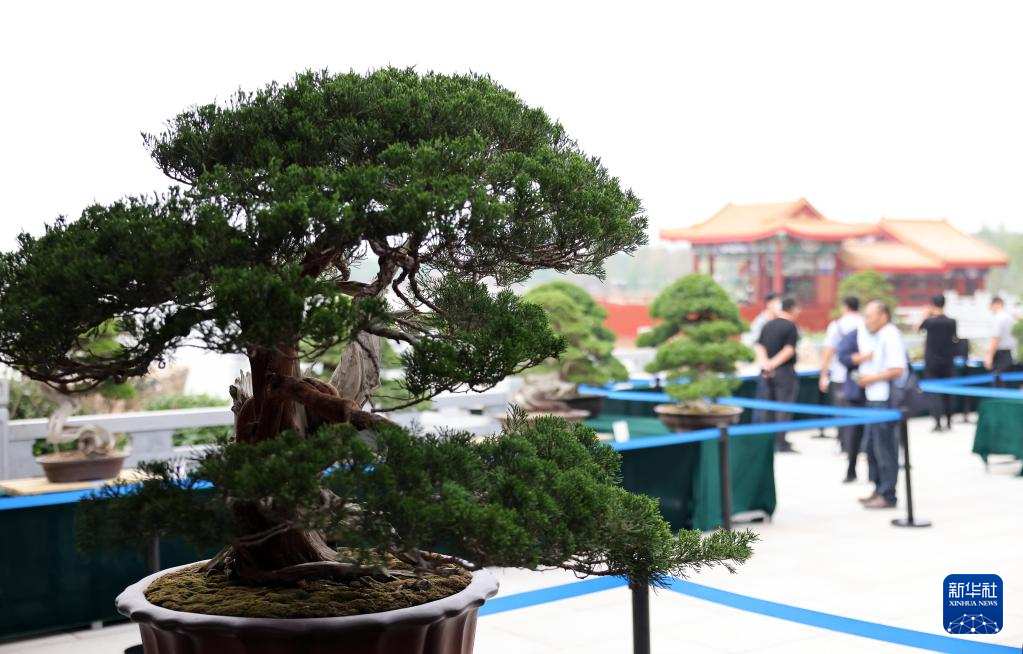 【中首】大运河畔的园博美景