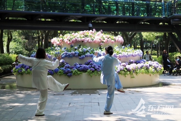 【文化旅遊-滾動圖】上海徐家匯公園“繡球蛋糕”出圈