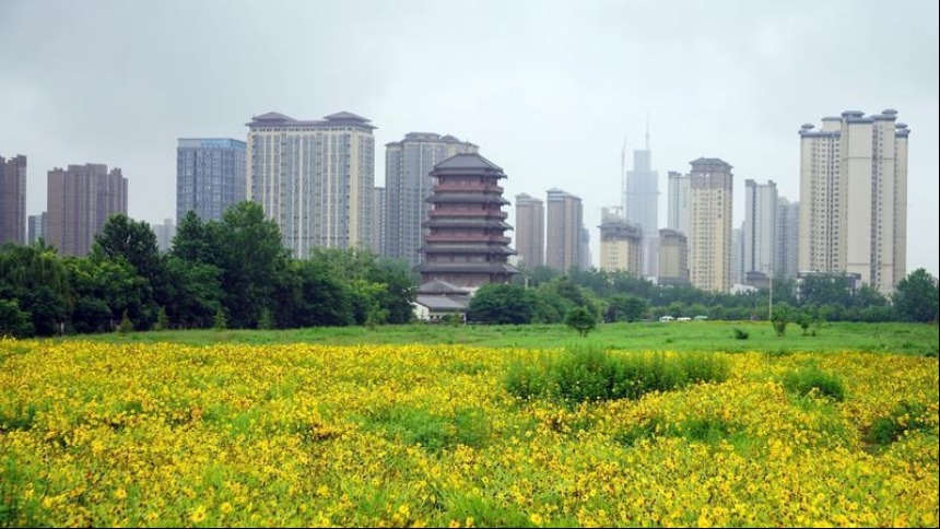 雨后汉城湖清新自然