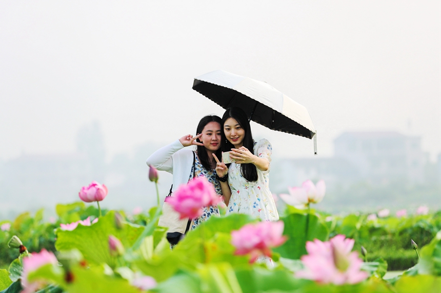 江西广昌：莲花美景引客来_fororder_4