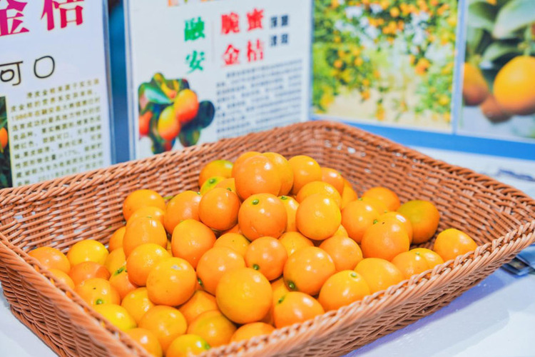 廣西農業品牌連續三年入圍中國品牌百強榜