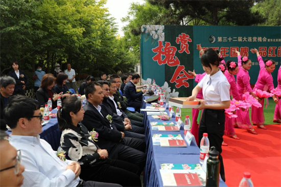 大連市金普新區舉行大連賞槐會暨東北亞國際旅遊文化周分會場活動_fororder_金普6