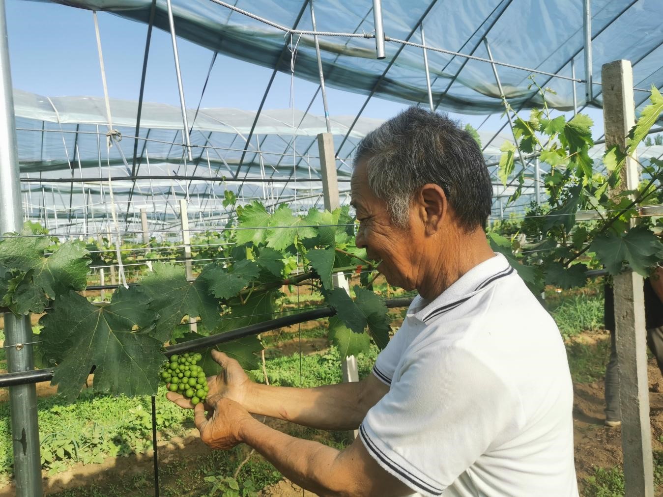 图片默认标题_fororder_2