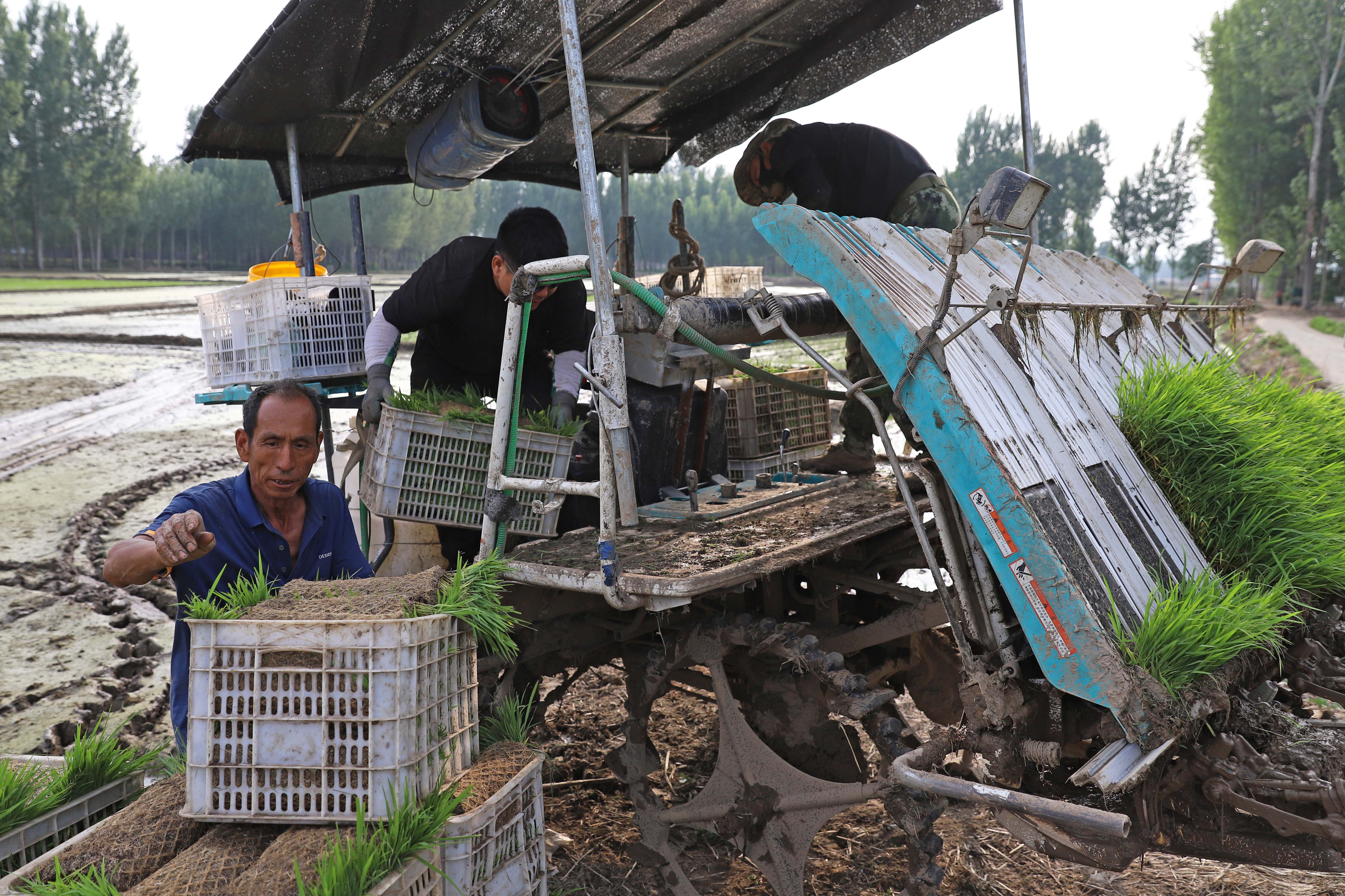 图片默认标题_fororder_5月28日，村民为插秧机加装秧苗。熊华明摄