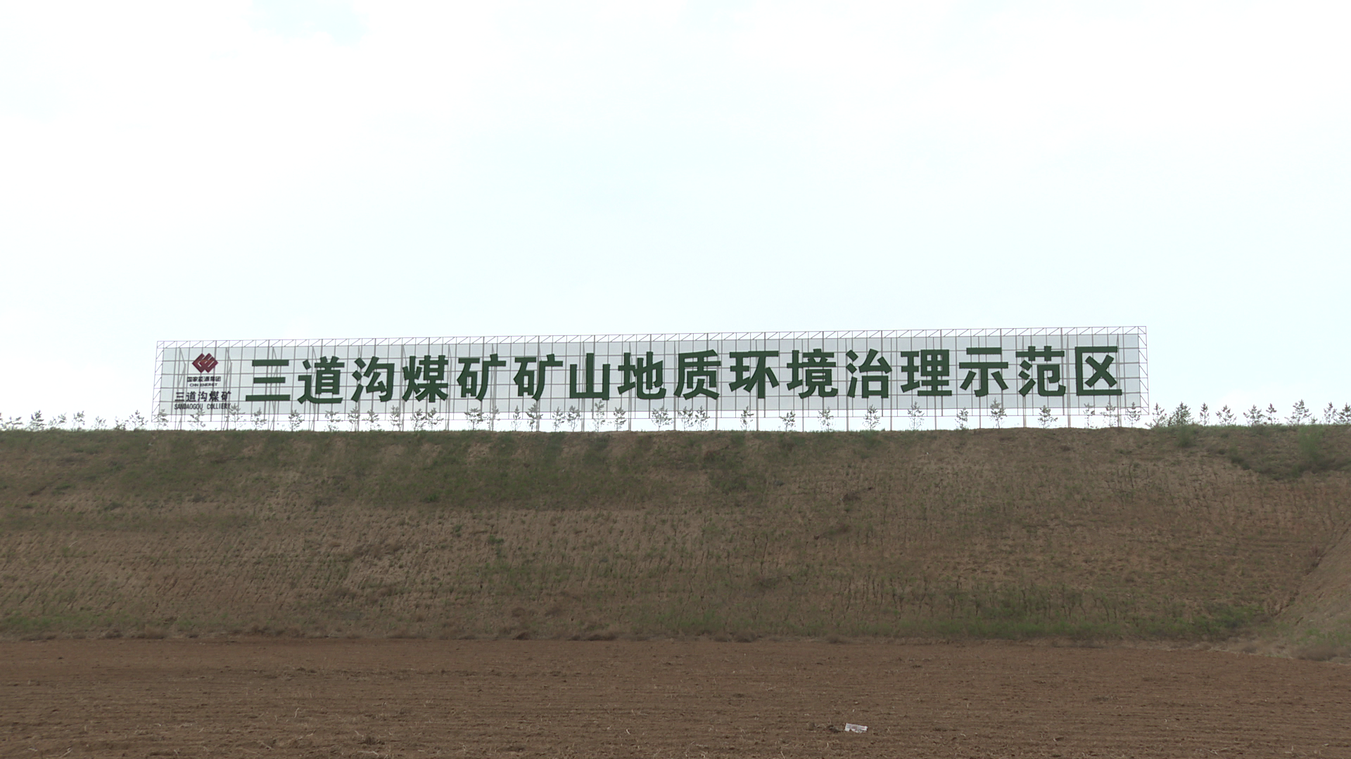 榆林市府谷县三道沟镇：党建引领聚合力 乡村振兴添活力_fororder_11