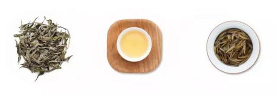 【食在重庆 标题摘要】春来茶树绿枝头 饮茶需注意8大禁忌