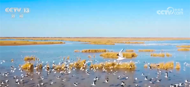 2022年我国海洋生态环境状况稳中趋好 海水环境质量总体保持稳定