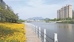 宁德霞浦：城在花丛中