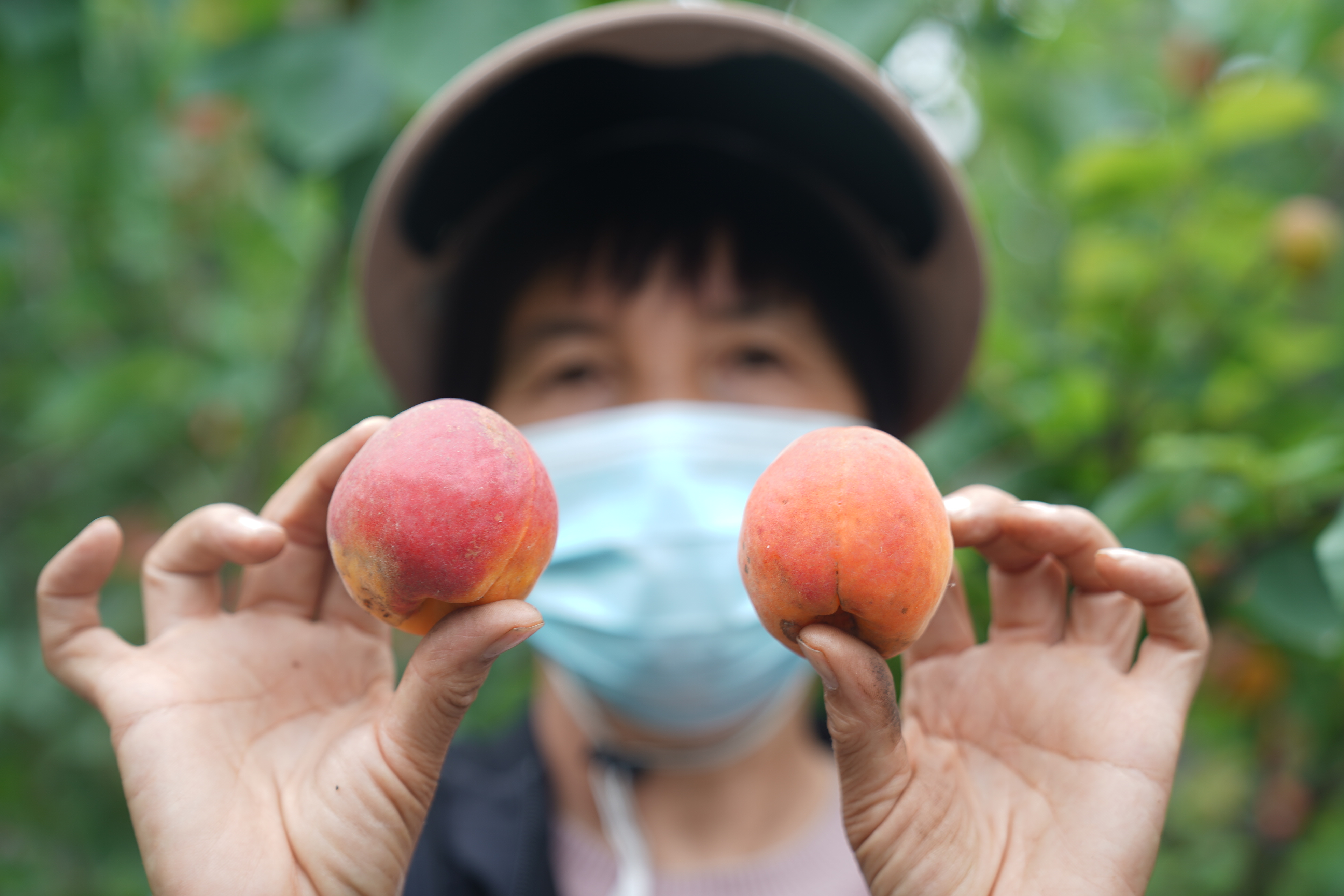 图片默认标题_fororder_4