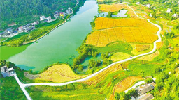 恩施州咸丰唐崖河畔“丰”景美