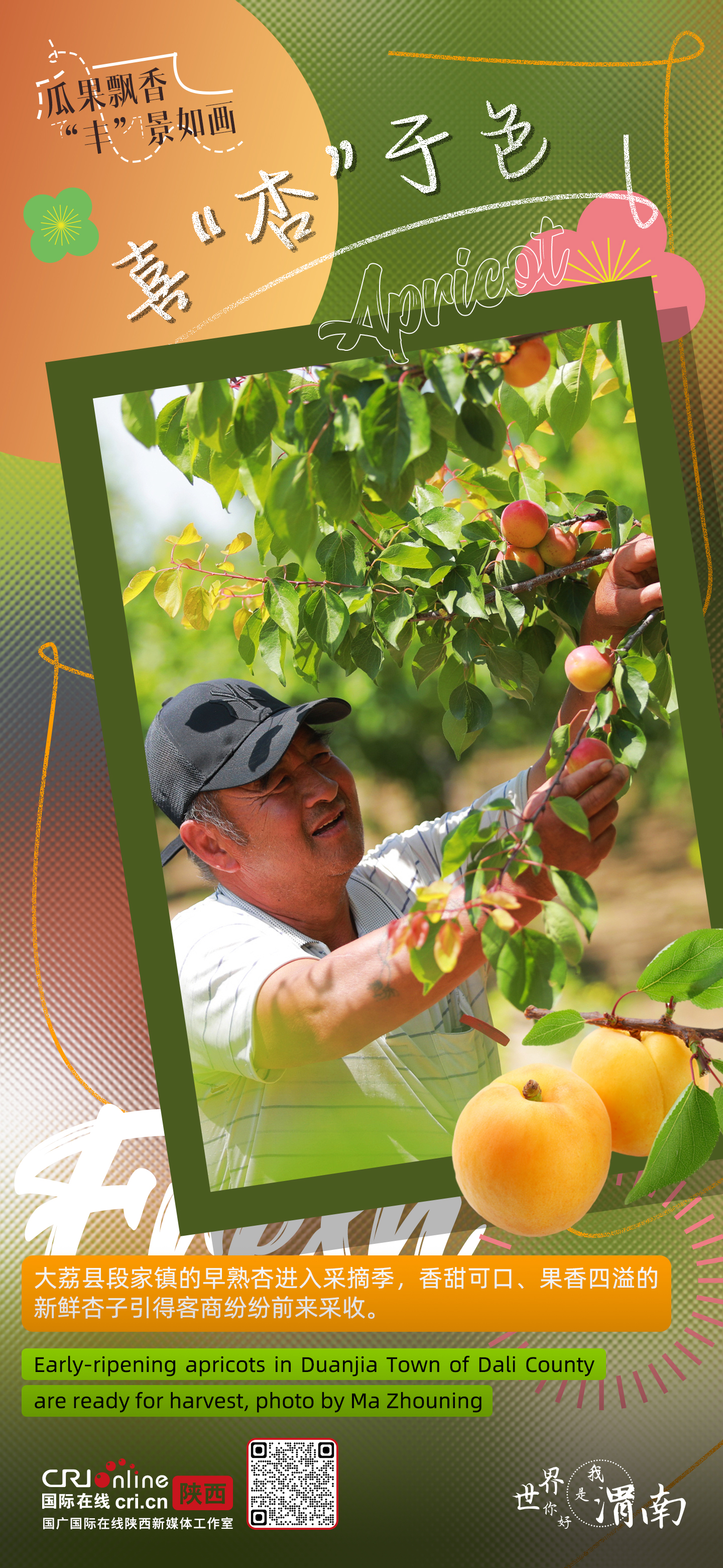 陕西渭南：瓜果飘香 “丰”景如画_fororder_微信图片_20230626154614