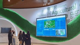 贵阳市白云区将打造贵州省数字新基建发展先行示范区