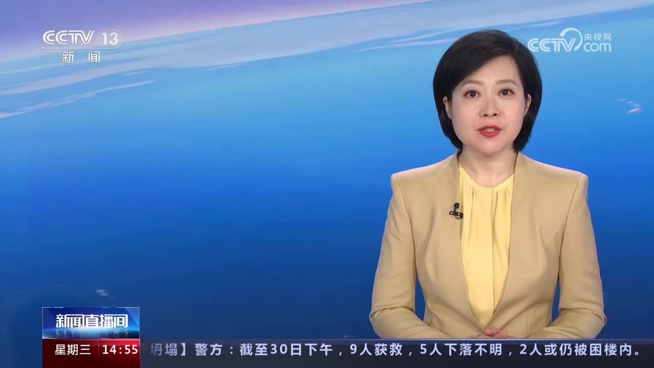 重庆永川 人工饲养五胞胎虎宝宝首次与游客见面-国际在线新闻频道