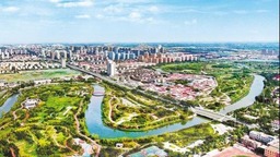 图片默认标题