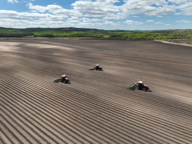 科技让农业生产变了样 北大荒集团北安分公司依靠科技创新绘制现代农业新图景_fororder_图片7
