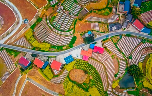 （张）自贡市贡井区获评“中国大头菜之乡”_fororder_1成佳大头菜主题公园