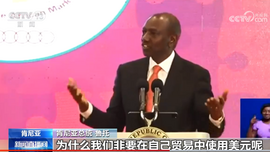 肯尼亞總統呼籲非洲國家間貿易去美元化