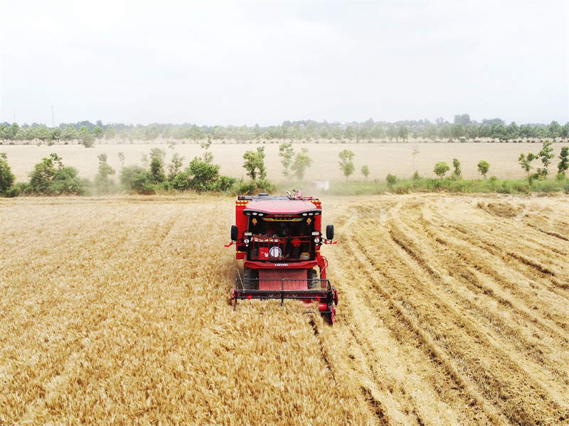 【原创】南阳：收获小麦已过四分之一_fororder_收割机在镇平县收割小麦 摄影 时君洋