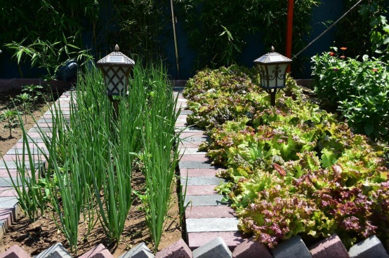 河北宽城：推进农村人居环境提升 全力打造美丽宜居乡村_fororder_河北宽城永存村：推进农村人居环境提升 全力打造美丽宜居乡村154