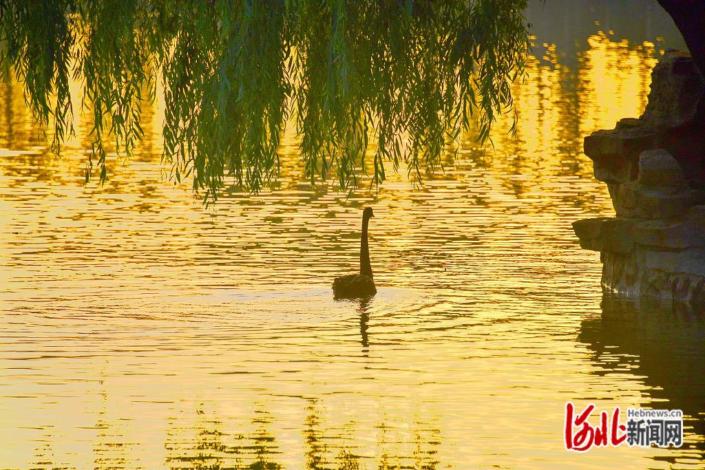 图片默认标题_fororder_hebnewsimg (1)