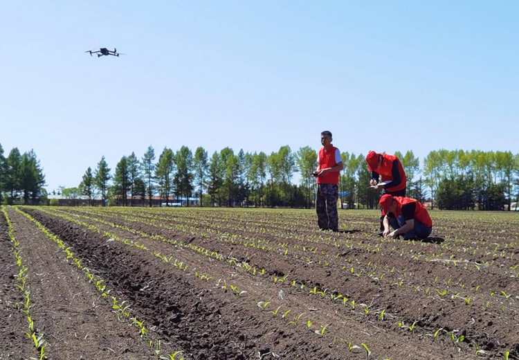 科技让农业生产变了样 北大荒集团北安分公司依靠科技创新绘制现代农业新图景_fororder_图片9
