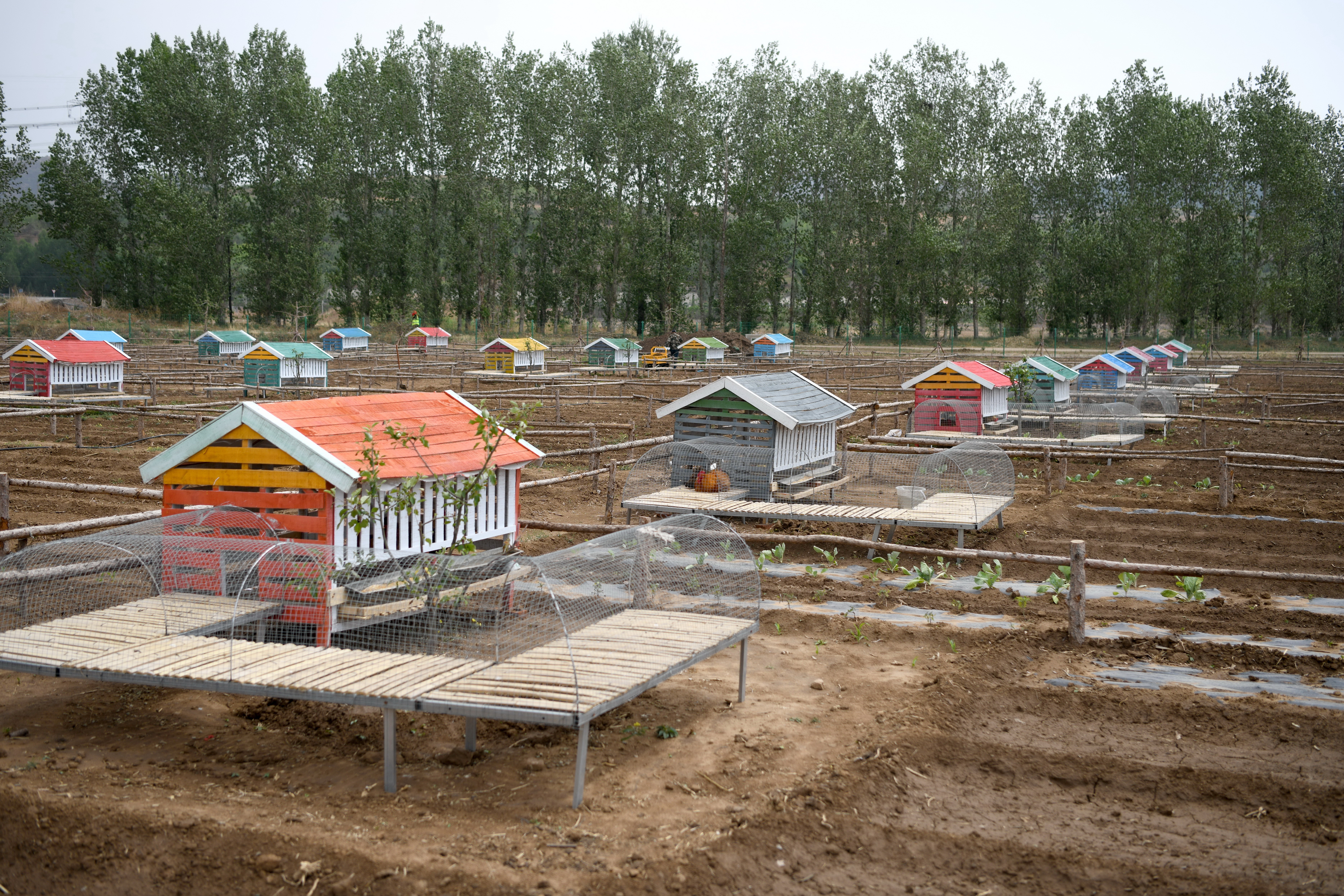 河北隆化：生态农业游引客来_fororder_5