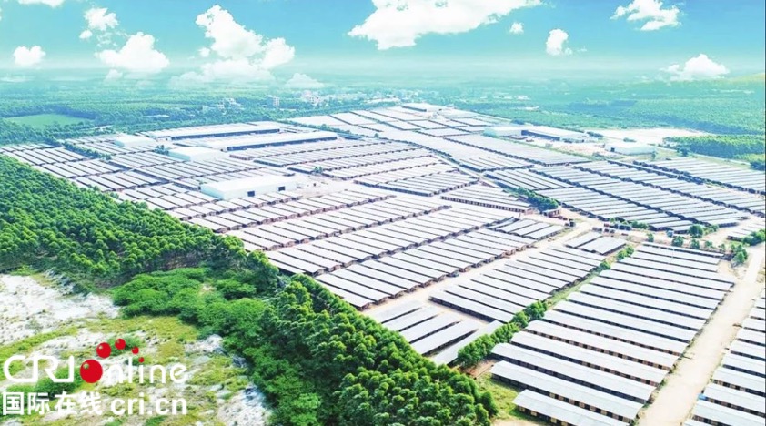 【唐已審】【供稿】林産循環經濟産業園成為廣西合浦縣經濟增長新一極