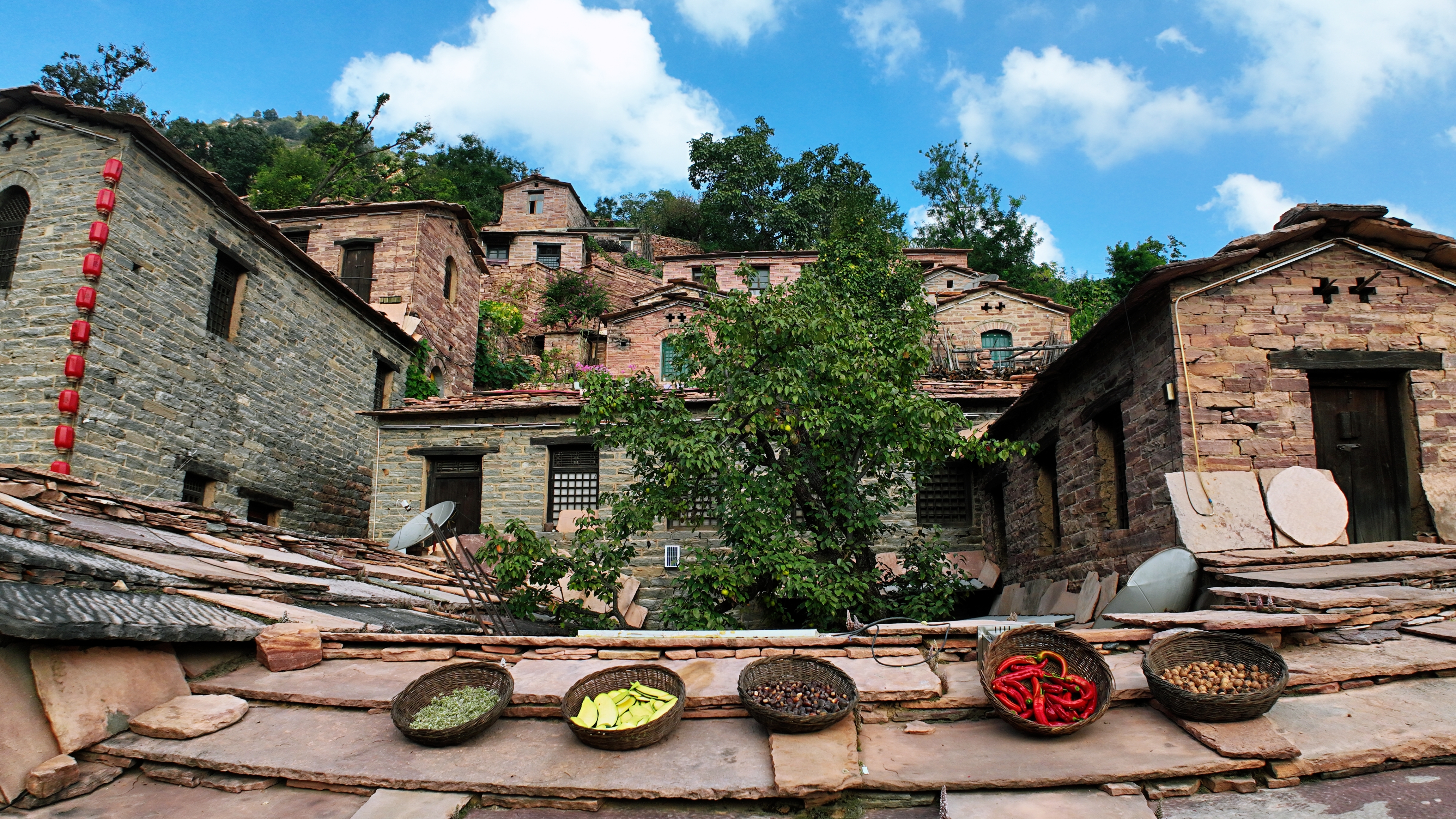 图片默认标题_fororder_1