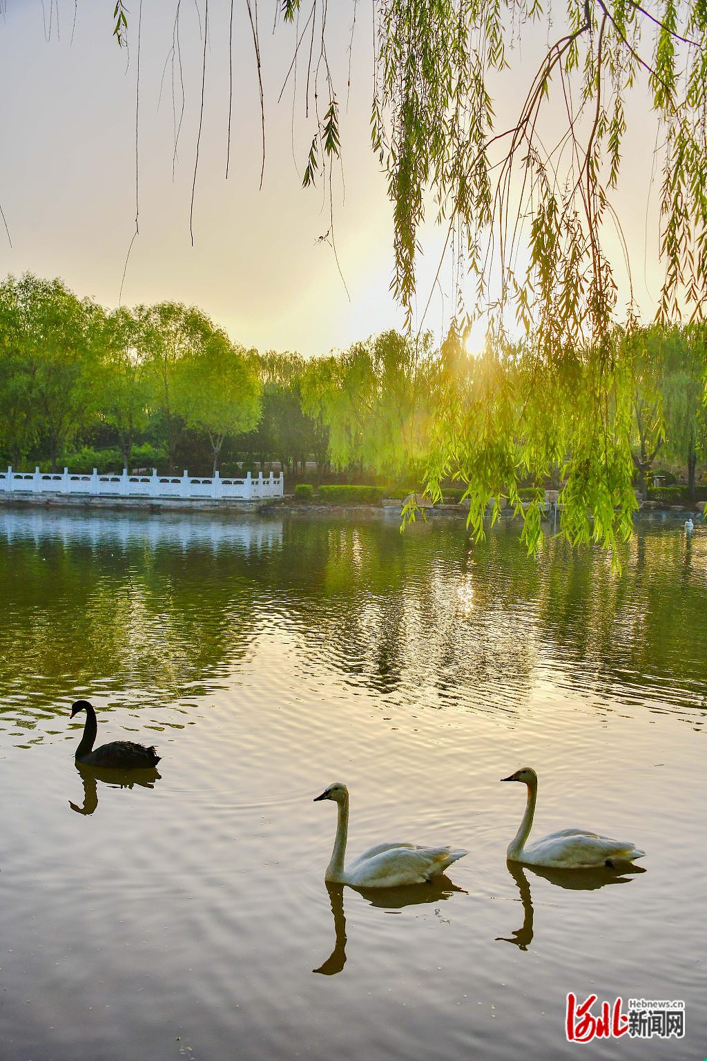 图片默认标题_fororder_hebnewsimg (3)