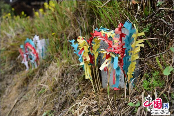 体验苗族祭桥风俗 传承弘扬黄平非遗(组图)