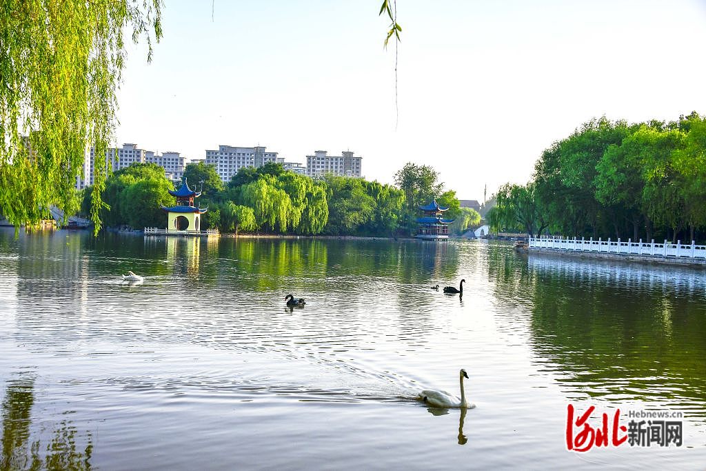 图片默认标题_fororder_hebnewsimg (4)