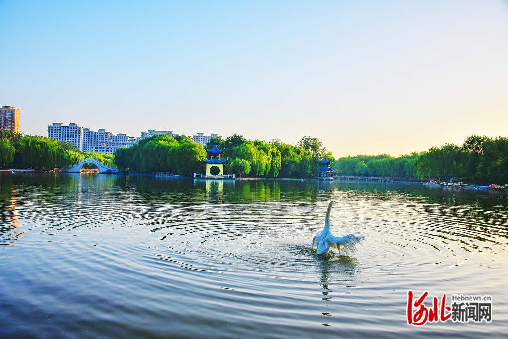 图片默认标题_fororder_hebnewsimg