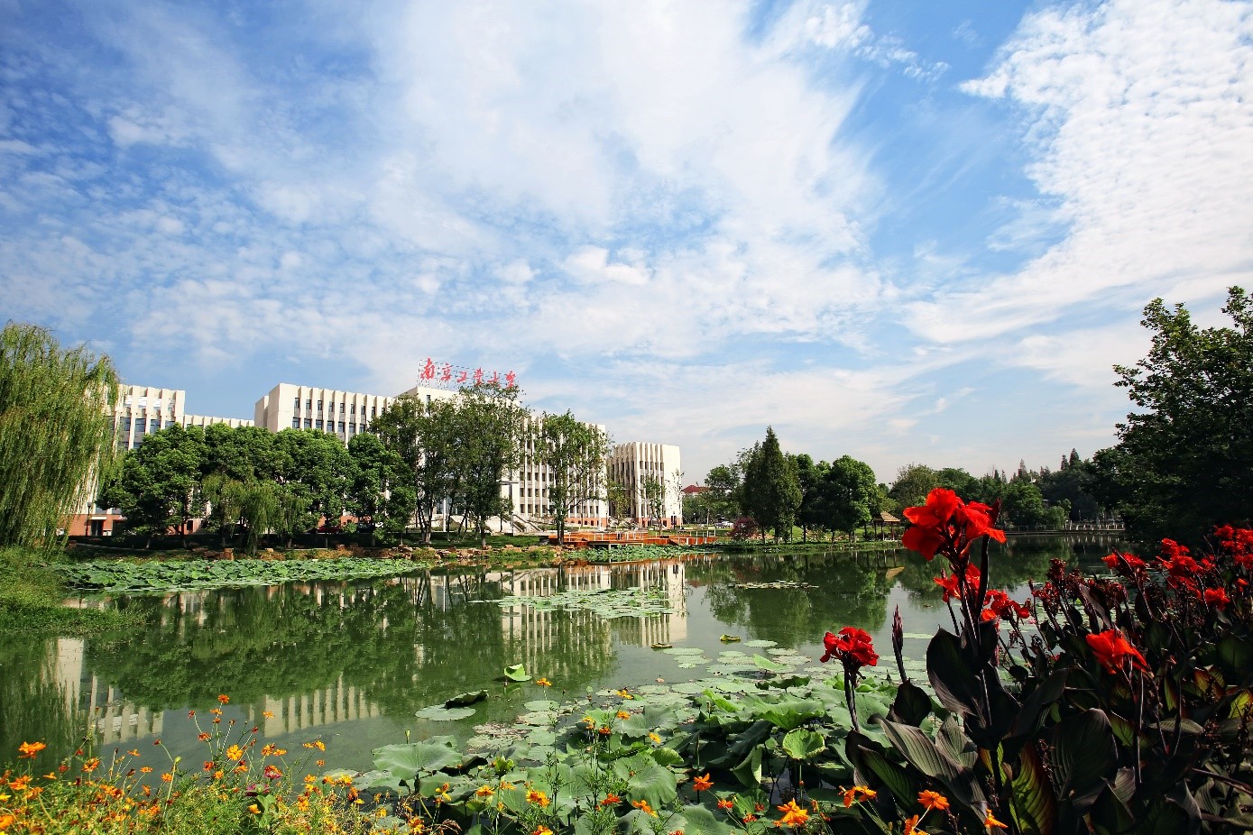 图片默认标题_fororder_4