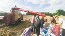 郑州夏粮抢收进度明显加快 收获小麦32万余亩
