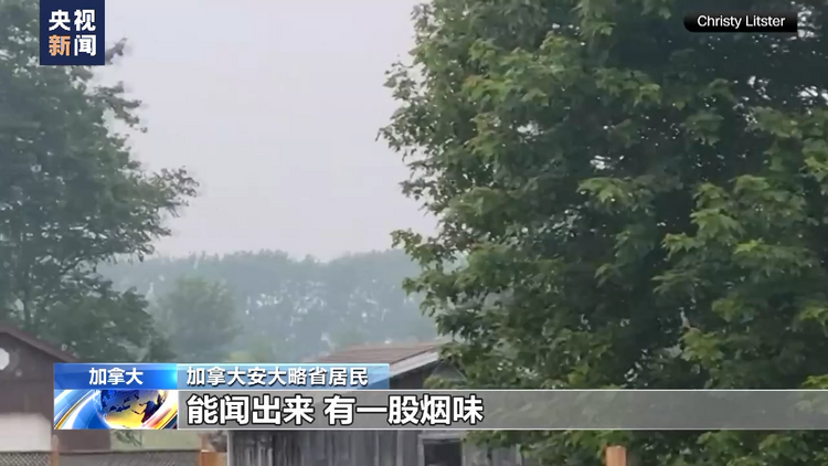 加拿大遭遇严重森林火灾 林火烟霾“吞噬”美加多座城市