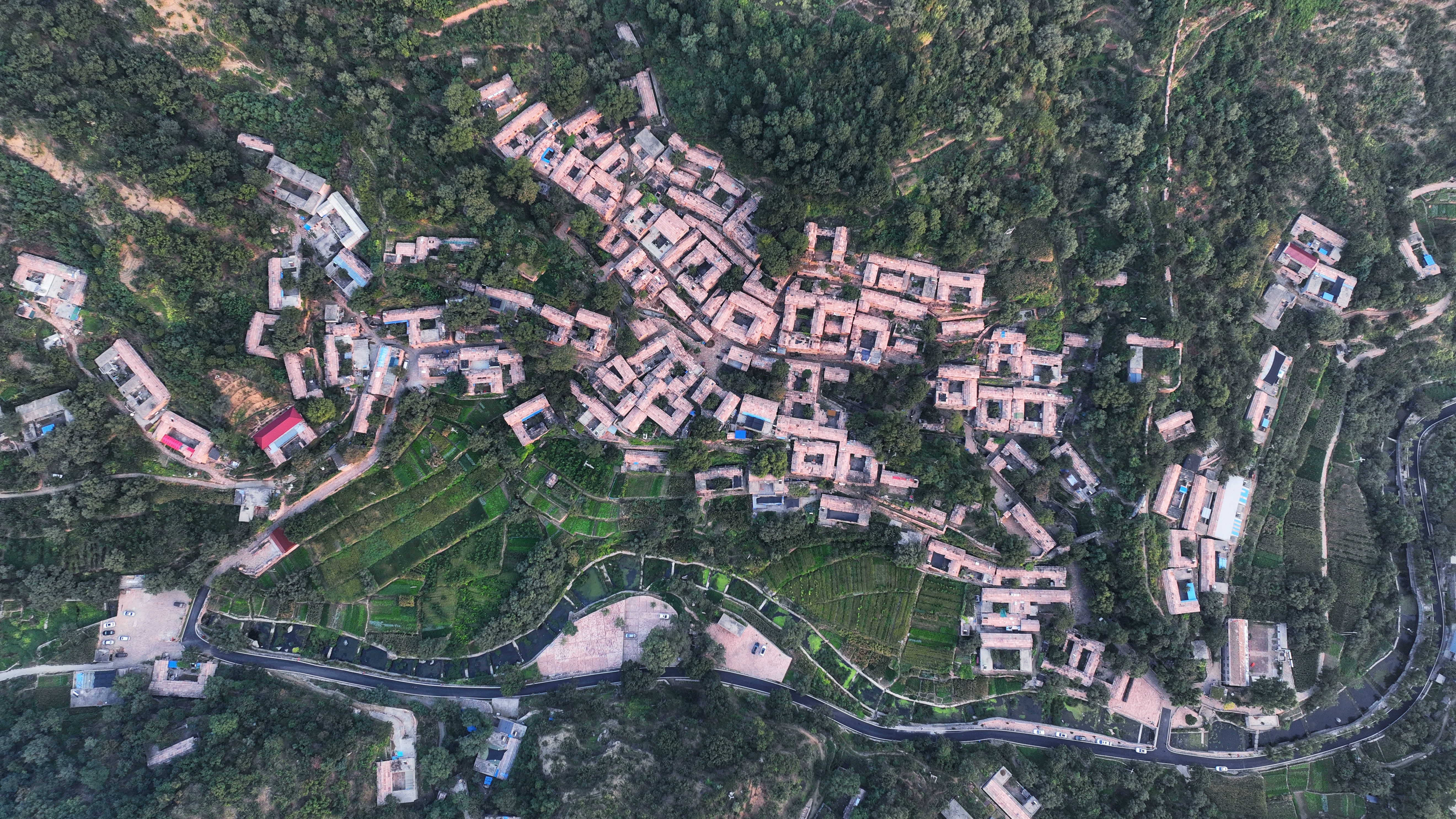 图片默认标题_fororder_4