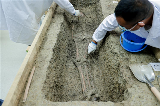 开启6000年前的“盲盒” 无锡对两座马家浜文化墓葬开展实验室考古探源_fororder_3