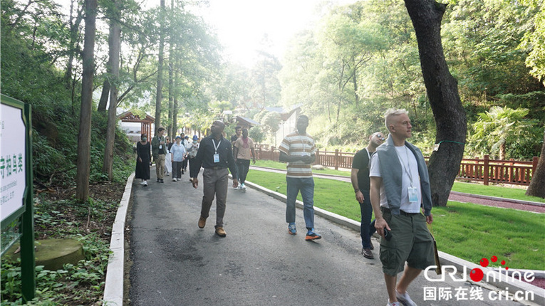 Belt and Road International Youth Experience Team Arrives in Dongzhai National Nature Reserve