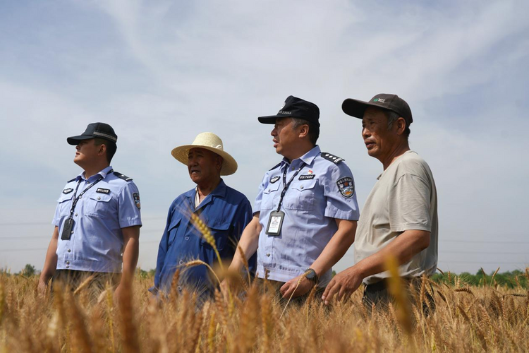 圖片默認標題_fororder_圖片5