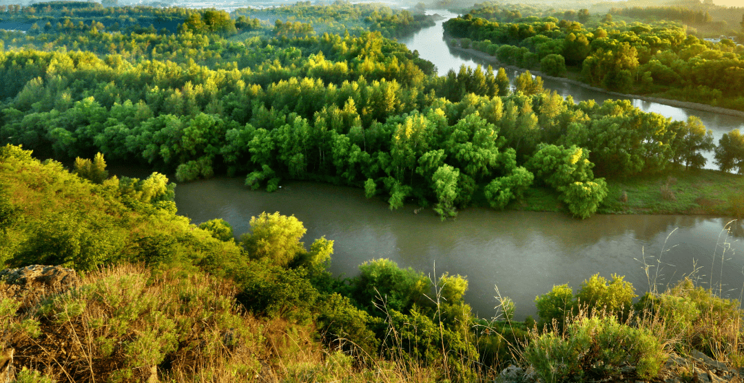 书写兴安岭上的“诗和远方”_fororder_3