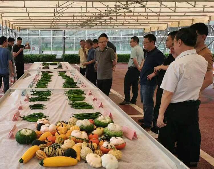 展館+田間雙展示 第九屆成都種業博覽會啟幕_fororder_微信圖片_20230603141057