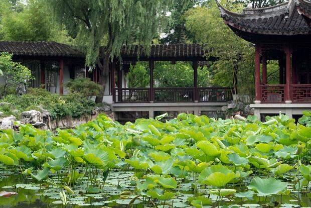【文化旅遊】在上海古典園林裏感受“非遺”魅力_fororder_3