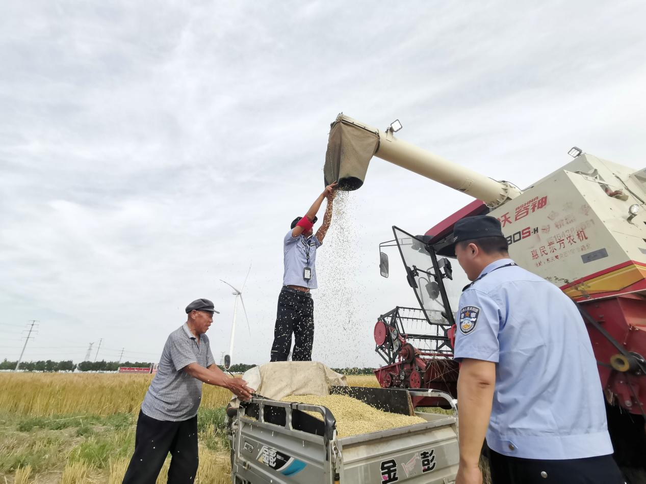 图片默认标题_fororder_图片9