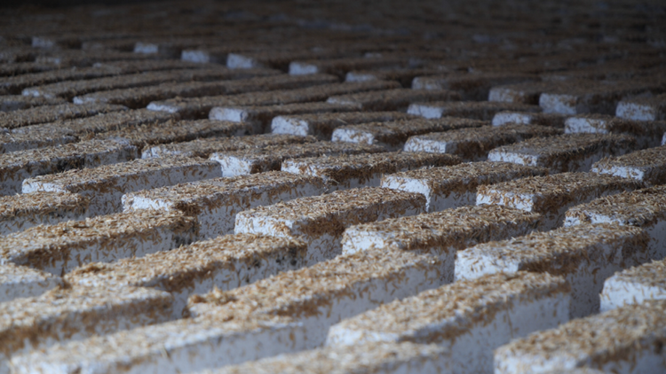 柳林酒文化節特輯丨見證周秦王朝崛起之路 柳林酒用品質和文化續寫鳳香傳奇_fororder_4