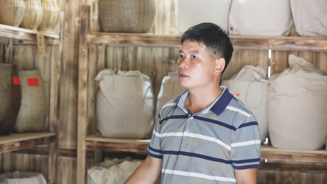（在文中作了修改）广西平桂：传统制茶工艺规模化 托起土瑶同胞致富梦